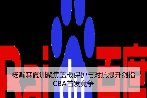 杨瀚森夏训聚焦篮板保护与对抗提升剑指CBA首发竞争