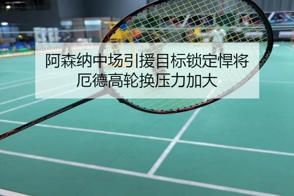 阿森纳中场引援目标锁定悍将 厄德高轮换压力加大